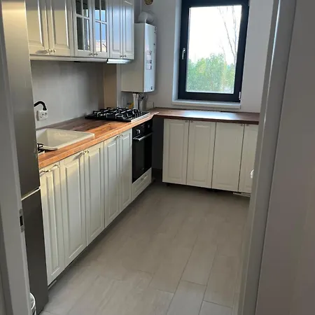 Hils Pallady - Amy * Bukarest