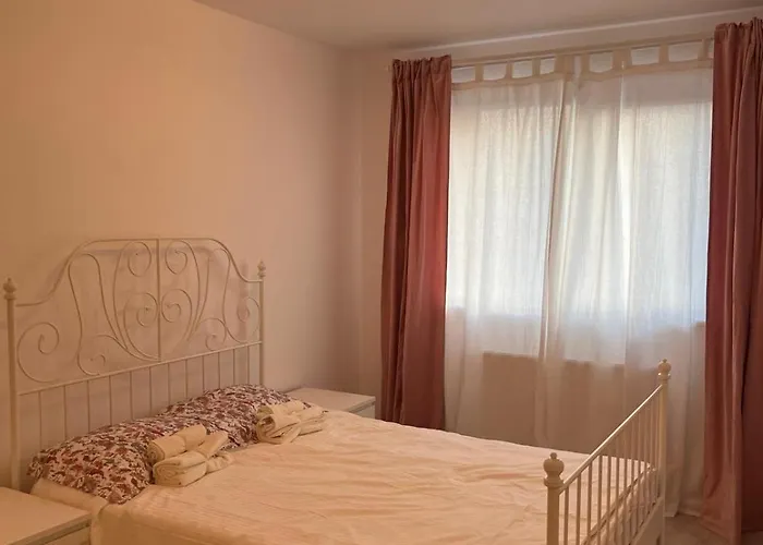 Hils Pallady - Amy Bucarest