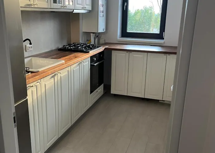 Hils Pallady - Amy * Bucarest